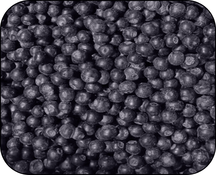 FROZEN BLUEBERRY