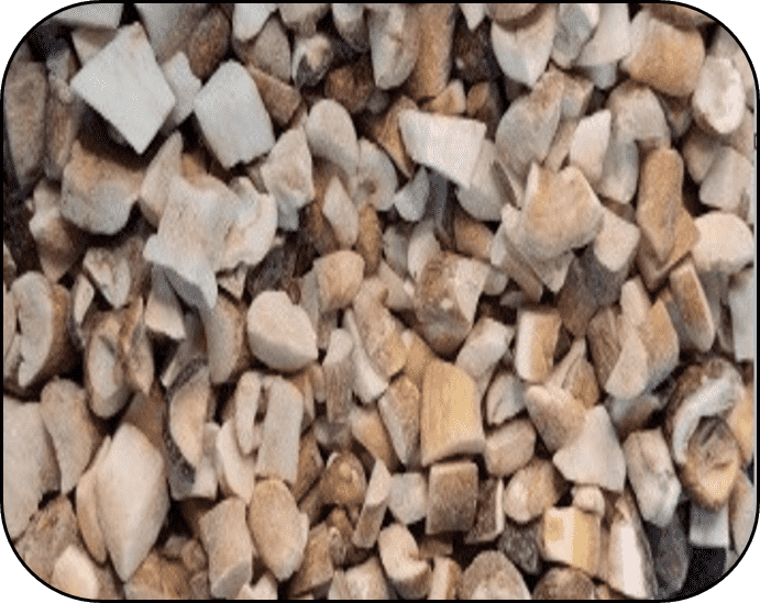 FROZEN BOLETUS EDULIS DICED