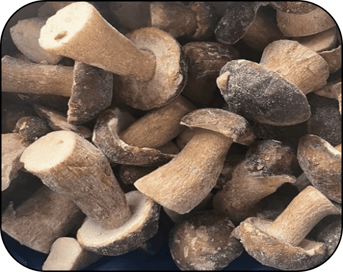 FROZEN BOLETUS EDULIS
