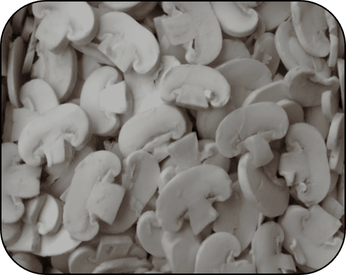 FROZEN CHAMPIGNON SLICES