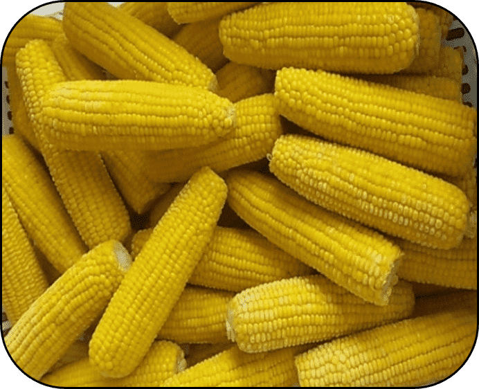 FROZEN CORN WHOLE