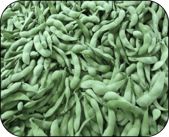 FROZEN EDAMAME