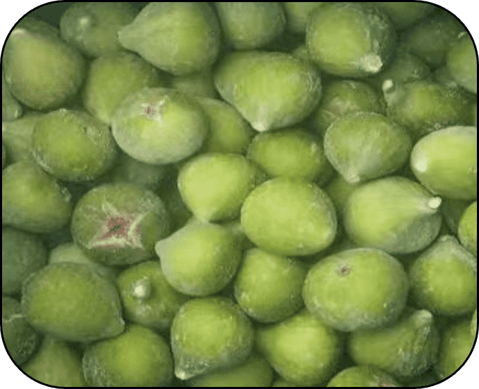 FROZEN FIG WHOLE
