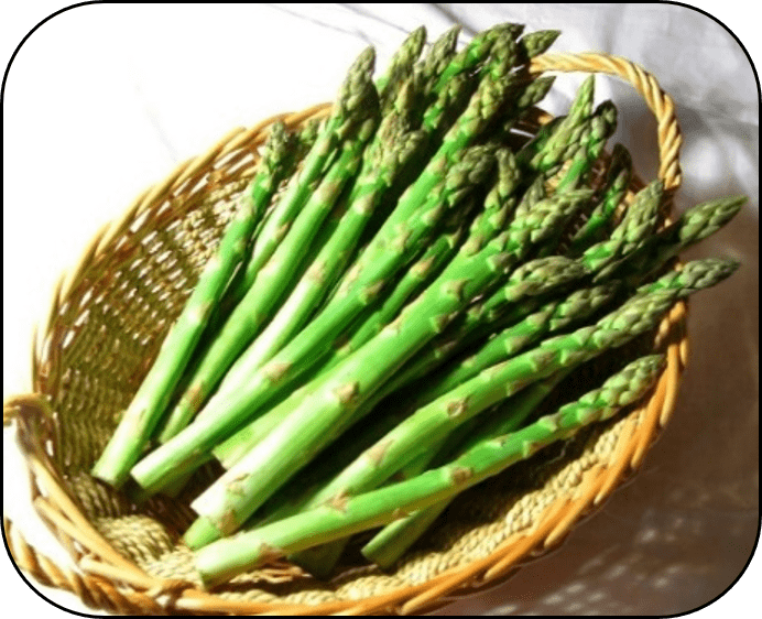FROZEN GREEN ASPARAGUS SPEARS