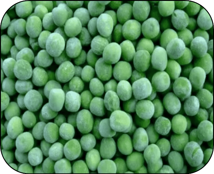 FROZEN GREEN BEANS