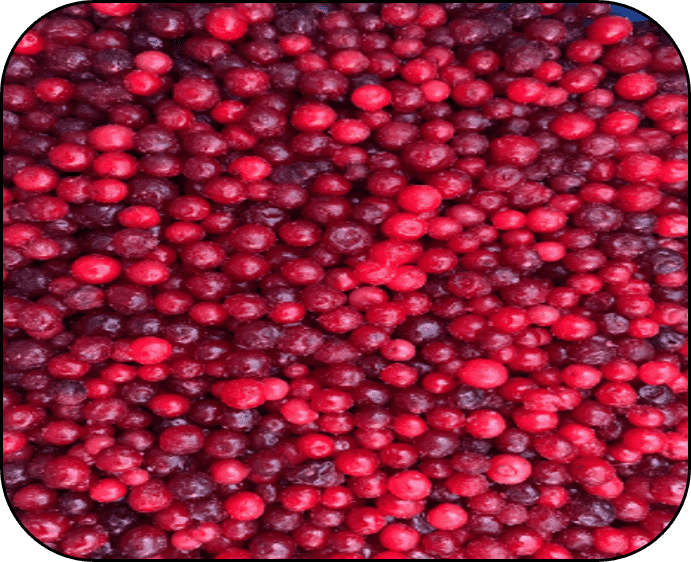 FROZEN LINGONBERRY