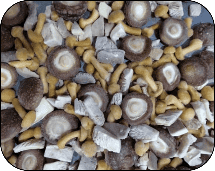 FROZEN MIX MUSHROOM