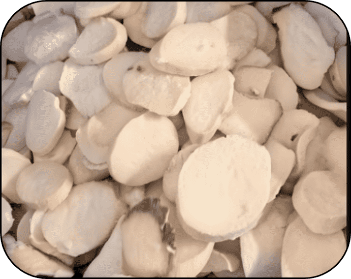 FROZEN PLEUROTUS ERYNGII SLIC