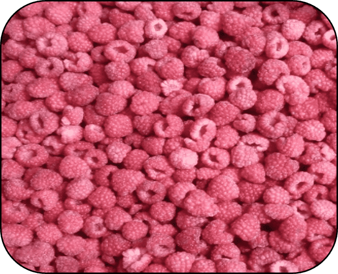 FROZEN RASPBERRY WHOLE