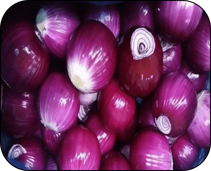 FROZEN RED ONION