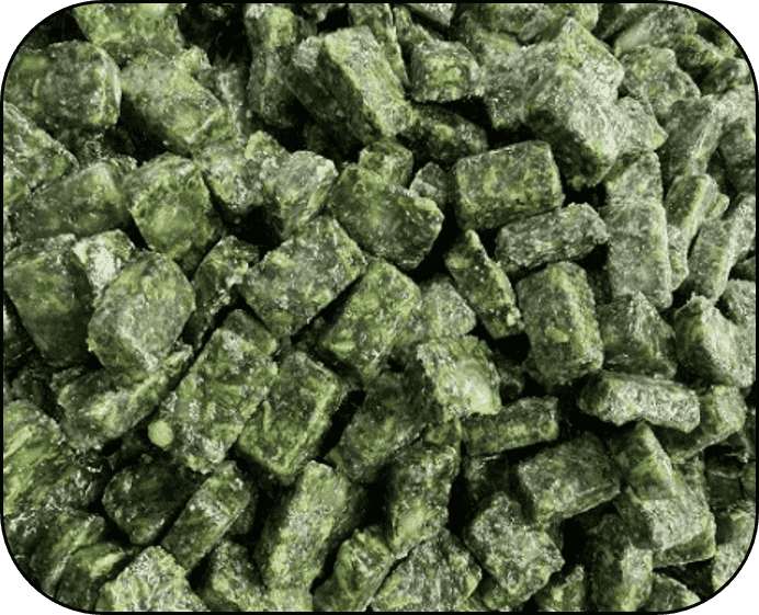 FROZEN SPINACH CUBES