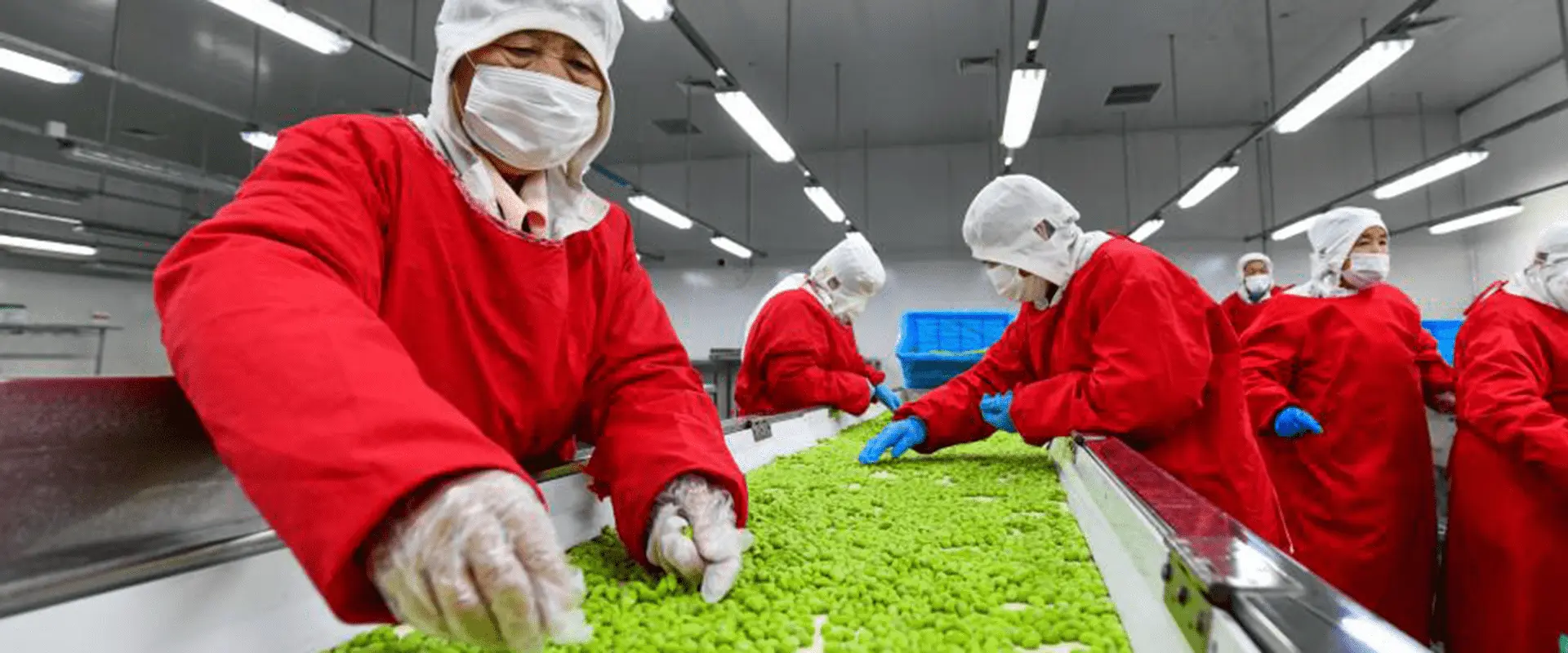 YISION Foods intl