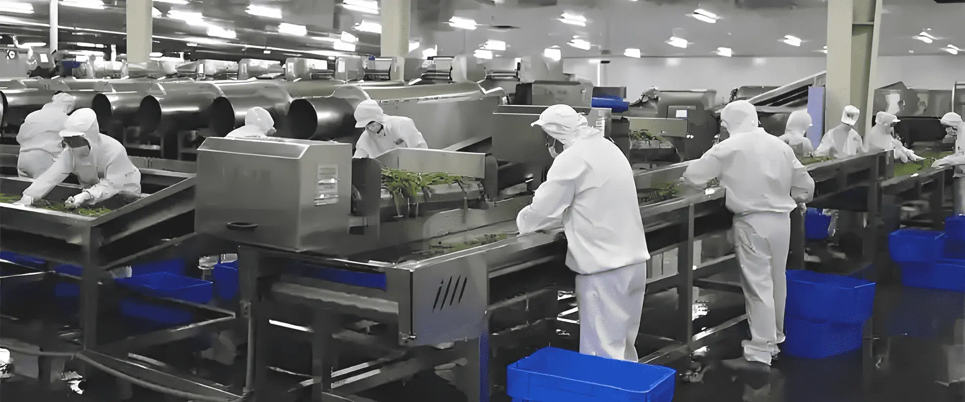 YISION Foods intl